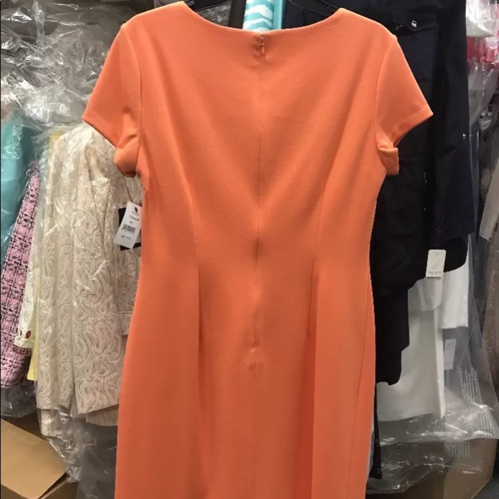 Ellen Tracy women mango color short sleeve - Picture 4 of 8